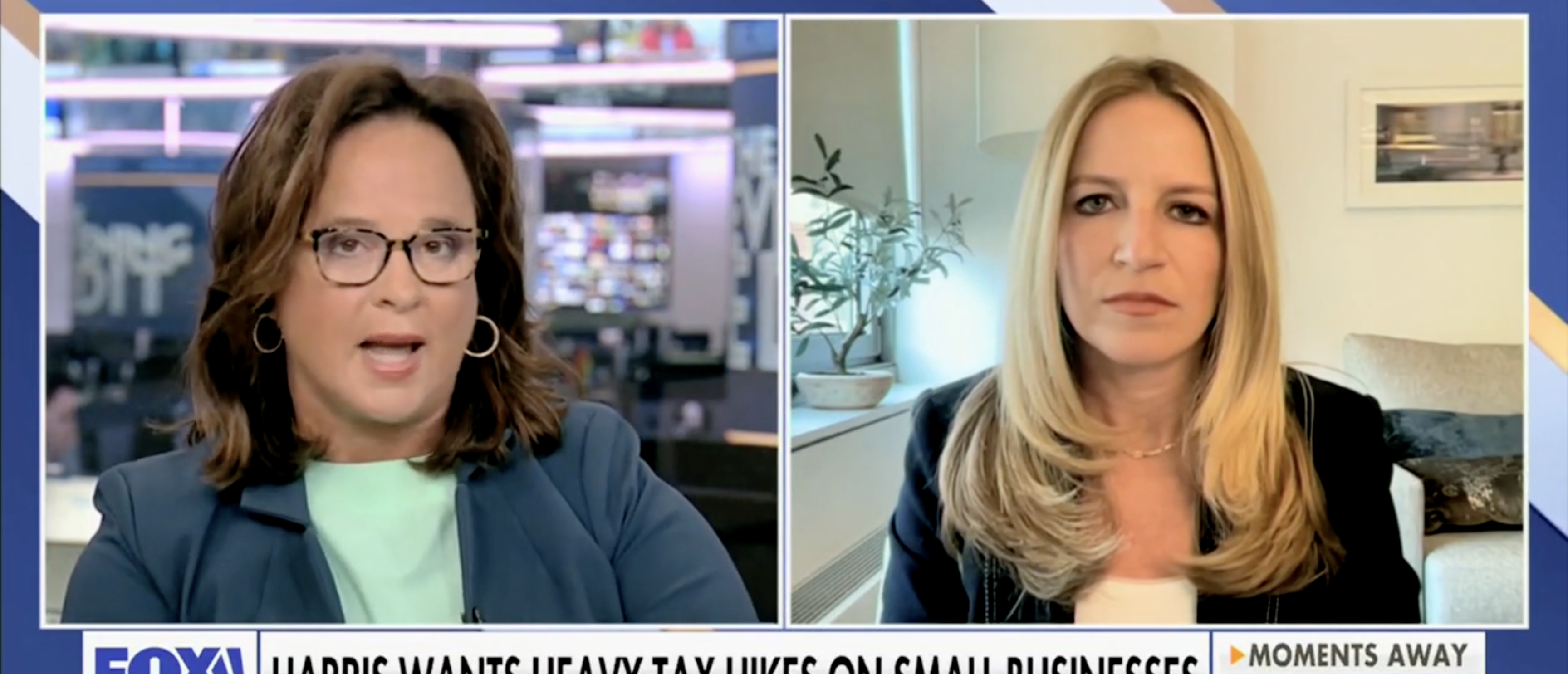 Fox Business Host Tears Into Dem Pollster Who Attempted To Defend Harris’ Economic Plans